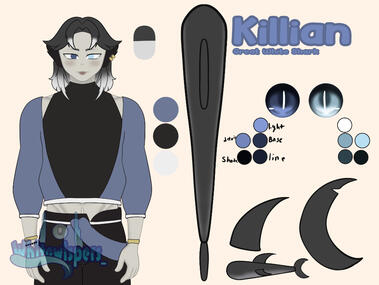 Design Sheet (NL)
